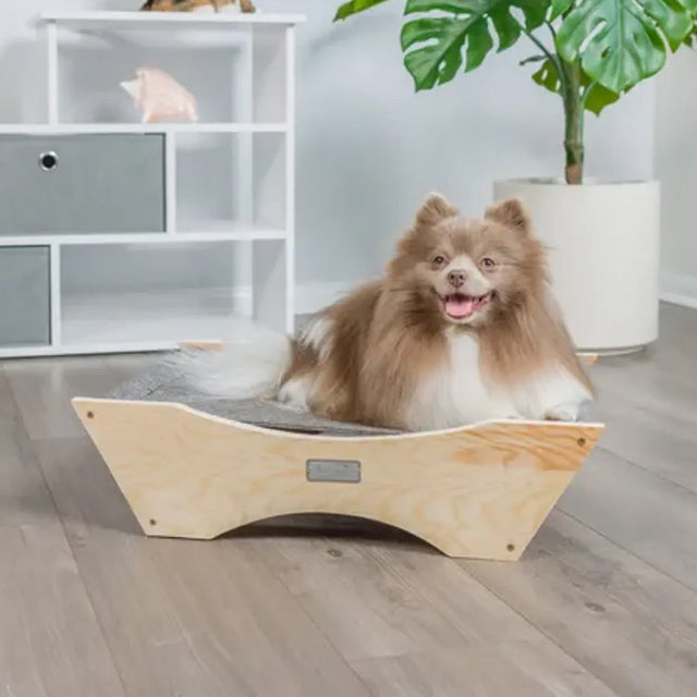 Pet Beds