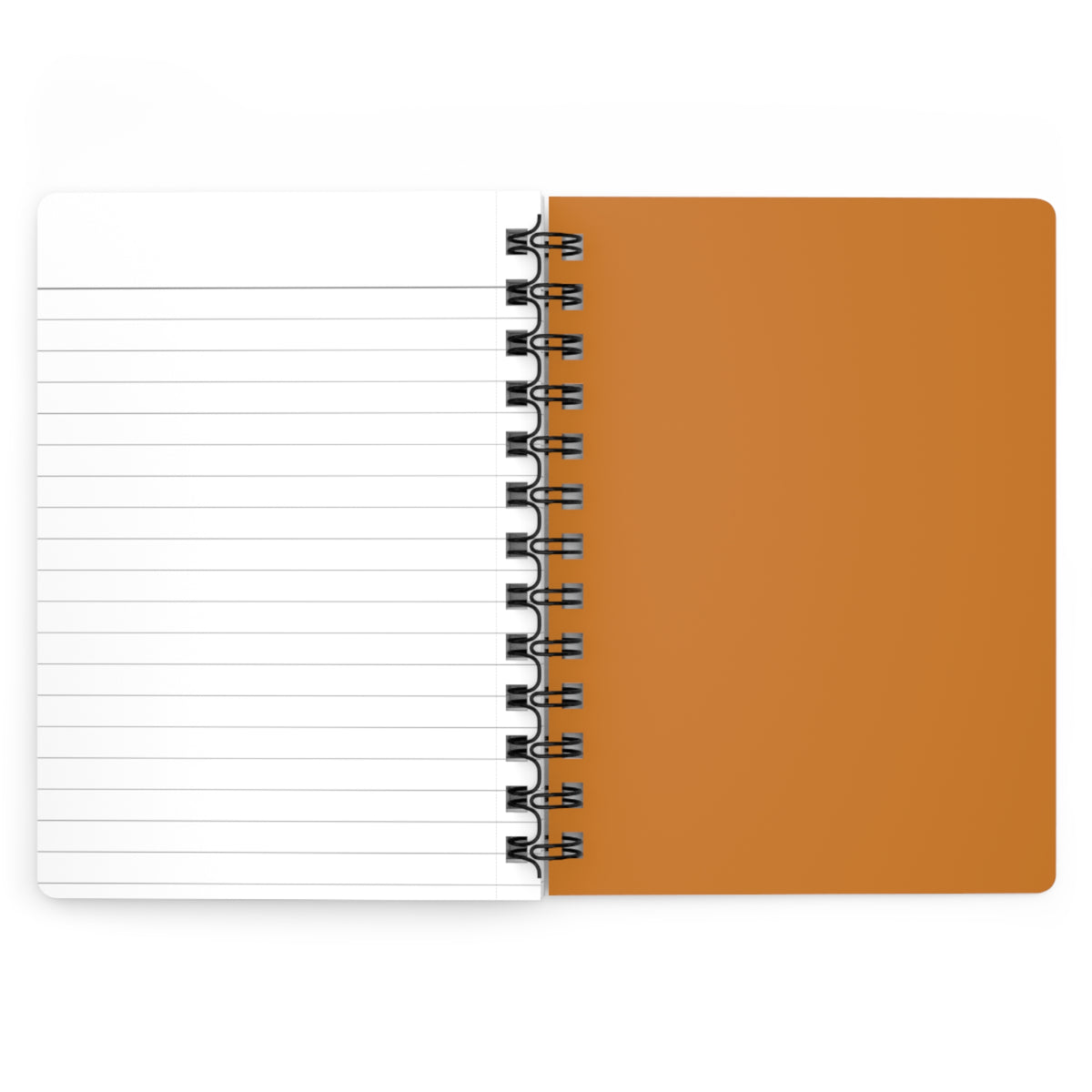 Art Deco Bear Adventure Spiral Journal