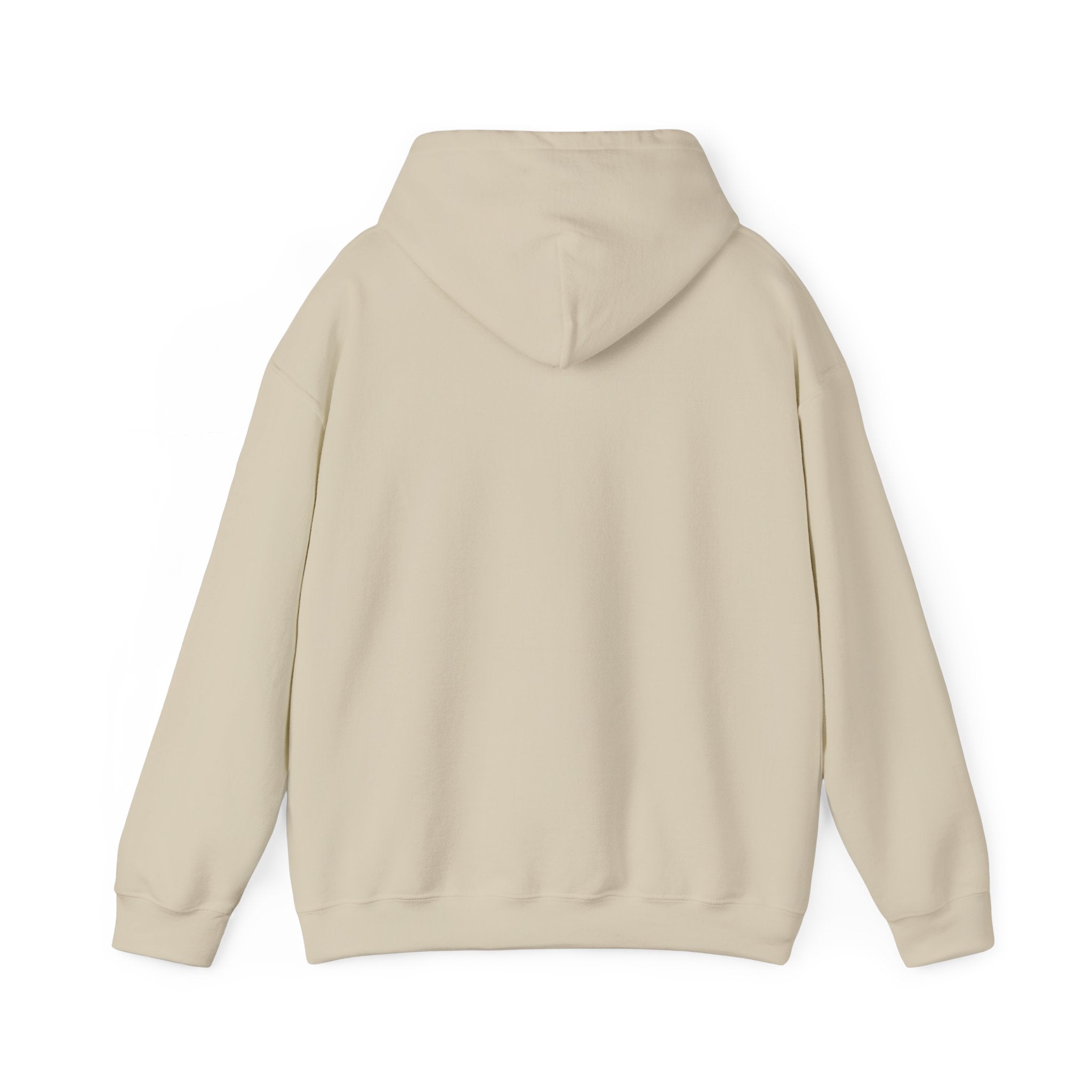 Cute Tabby Kittens Hoodie