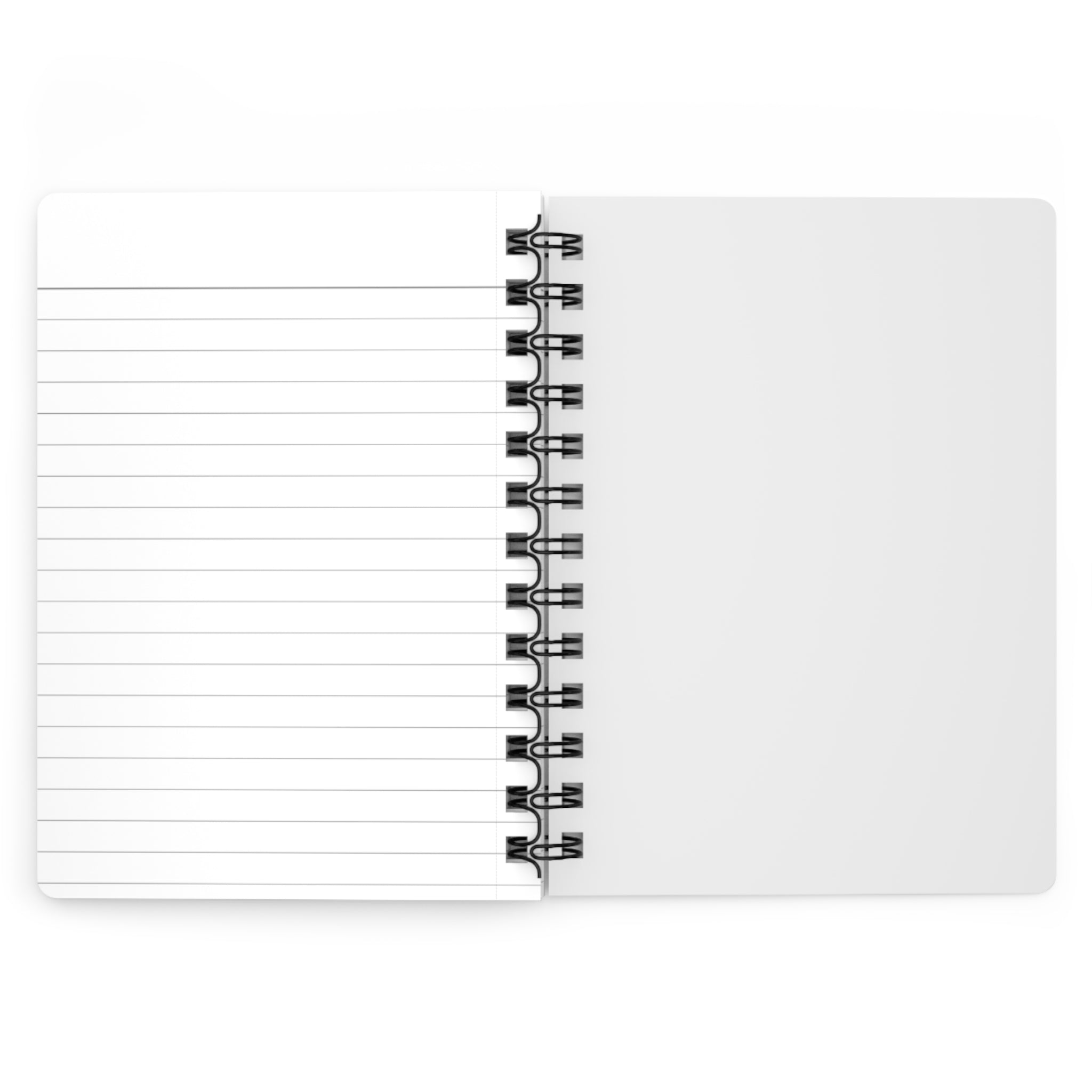 Bald Eagle Spiral Journal