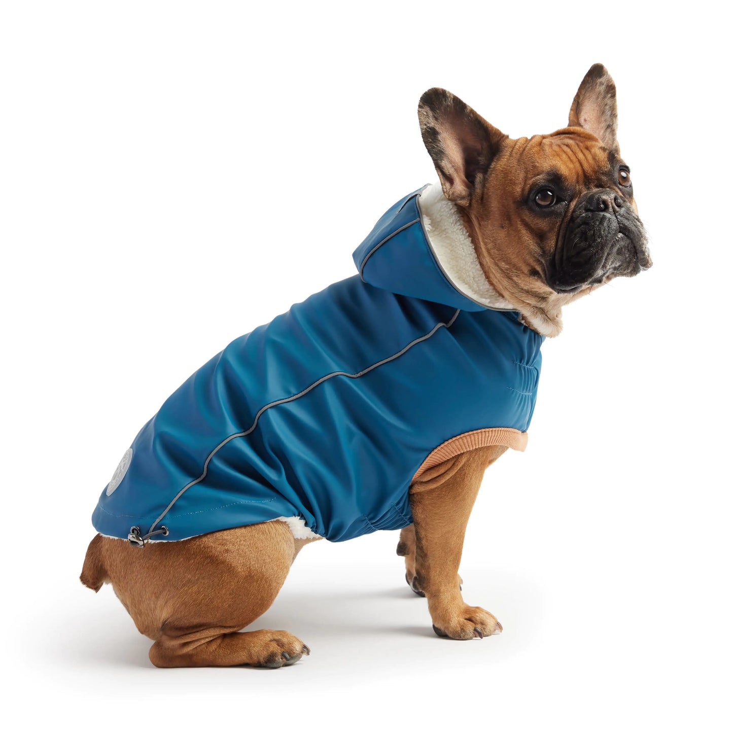 Insulated Dog Raincoat, Sherpa Lining, Reflective Piping - Dark Blue