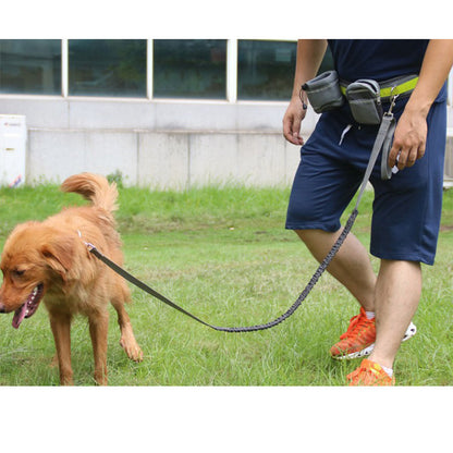 Hands-Free Adventure: Adjustable Retractable Leash for You and Your Pet