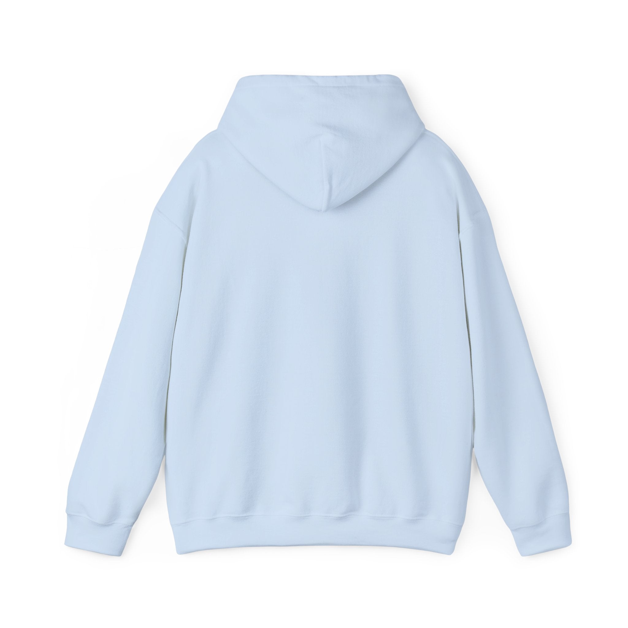 Cute Tabby Kittens Hoodie