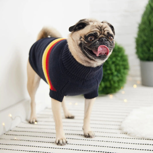 Sculpted Turtleneck Dog Sweater with Retro Design - Navy