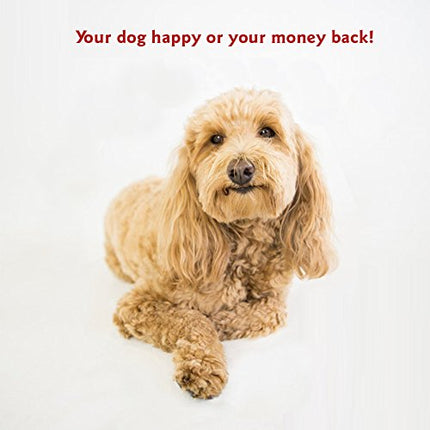 Majestic Pet 52" Charlie Beige Metallic Sherpa Bagel Bed
