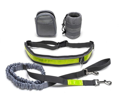 Hands-Free Adventure: Adjustable Retractable Leash for You and Your Pet