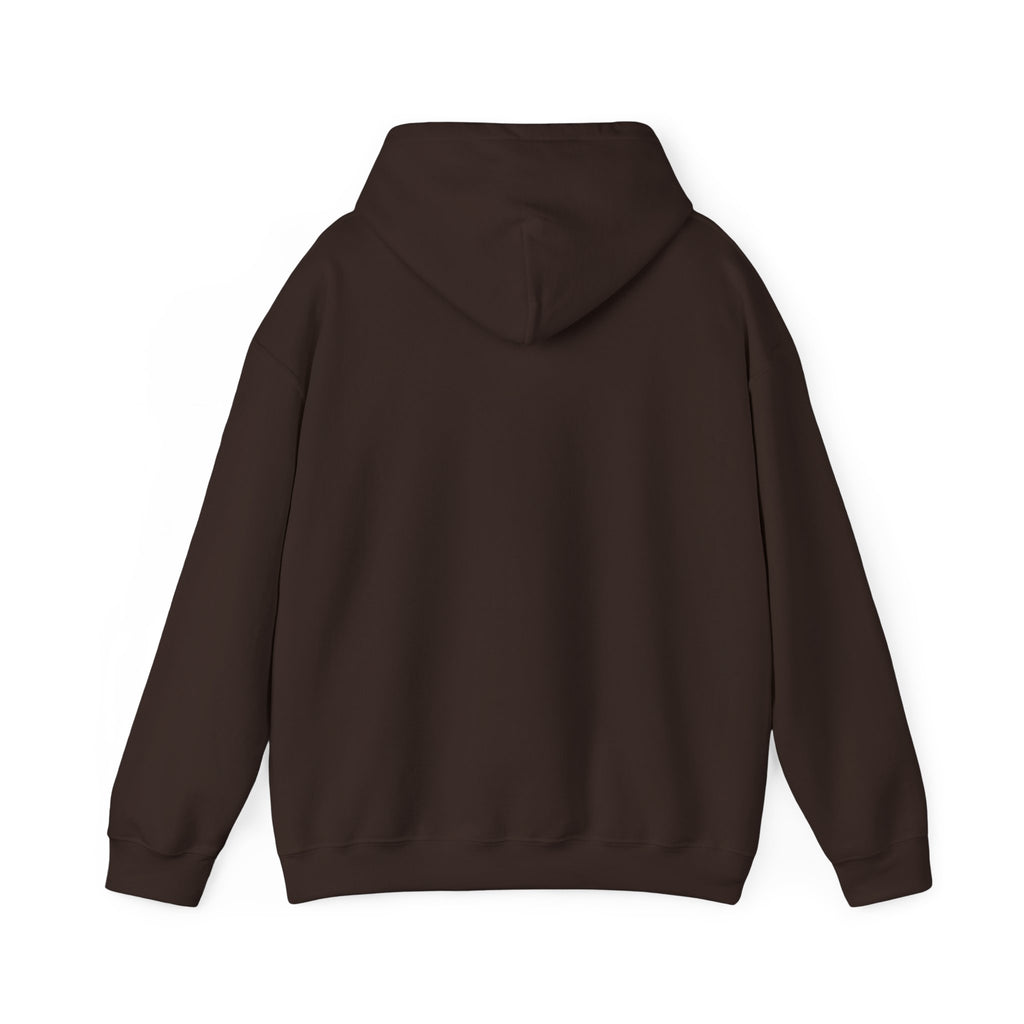 Flying Crow Hoodie, Cozy Bird Design Sweatshirt, Gift for Nature Lovers, Fall Fashion, Eco-Friendly Apparel