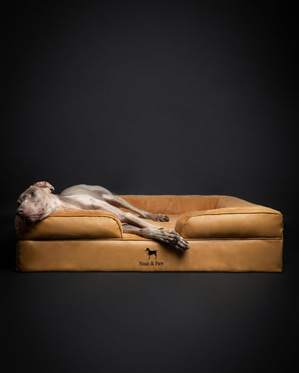 NOAH & PAW XL Dog Bed, 45x35x11 Inch, Orthopedic Large Dog Beds, Eggshell Memory Foam Infused with Cooling Gel, Inner Cover, Waterproof, Machine Washable (Faux Leather Sofa Collection)