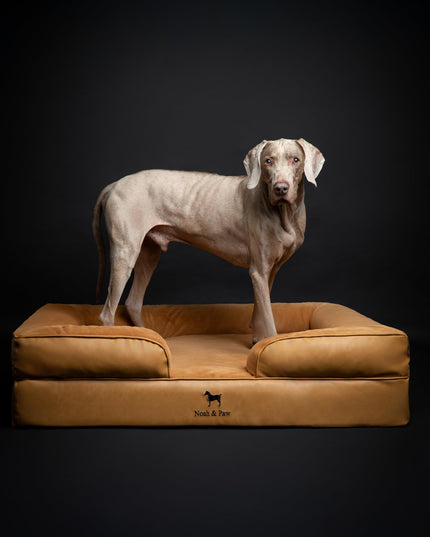 NOAH & PAW XL Dog Bed, 45x35x11 Inch, Orthopedic Large Dog Beds, Eggshell Memory Foam Infused with Cooling Gel, Inner Cover, Waterproof, Machine Washable (Faux Leather Sofa Collection)