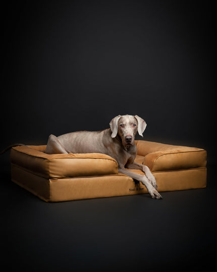 NOAH & PAW XL Dog Bed, 45x35x11 Inch, Orthopedic Large Dog Beds, Eggshell Memory Foam Infused with Cooling Gel, Inner Cover, Waterproof, Machine Washable (Faux Leather Sofa Collection)