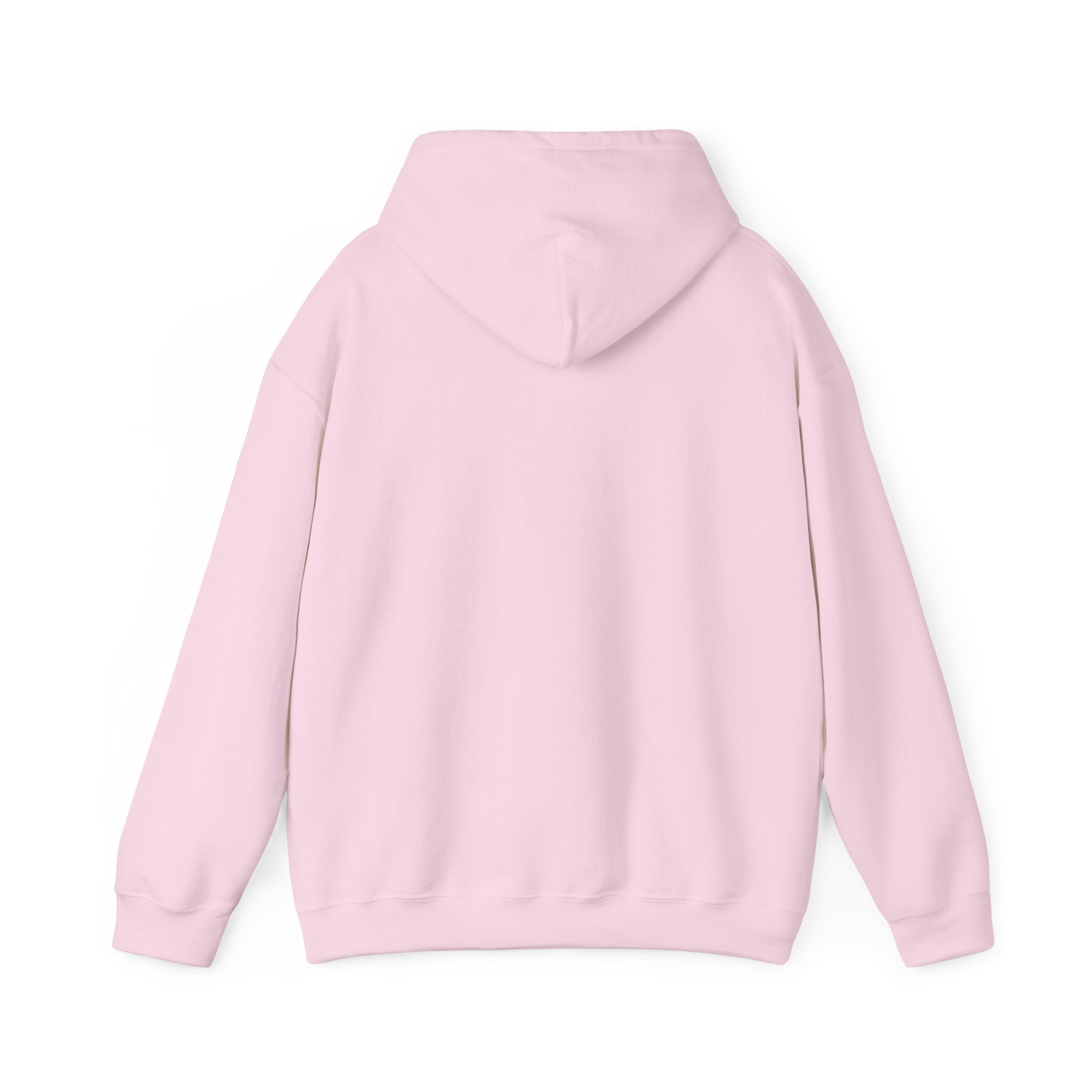 Cute Tabby Kittens Hoodie