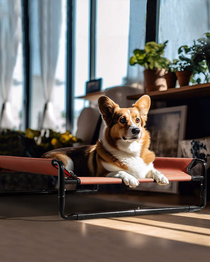 Veehoo Elevated Outdoor Dog Cot - Raised Small Dog Bed with Cooling Mesh, Anti-Slip Feet, Medium Size, CWC2201CP