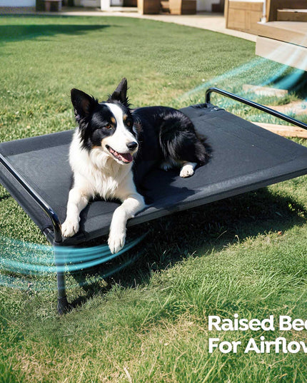 Veehoo Elevated Raised Dog Bed+Removable Padded Bolster-Cooling Outdoor Indoor Dog Cot Bed with Railing for Large Sized Dogs, Pet Cot Dog Hammock Bed Elevated Dog Couch Ded with Bolster-41 x 27"