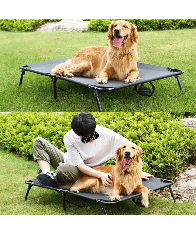 M JJYPET Elevated Raised Small Meduim Dog Bed Cots,Cooling Foldable No Assembly Need Pet Hammock Bed with Breathable Mesh, Indoor Outdoor Dog Pet Bed for Small Meduim Dogs, Chew Proof, Black