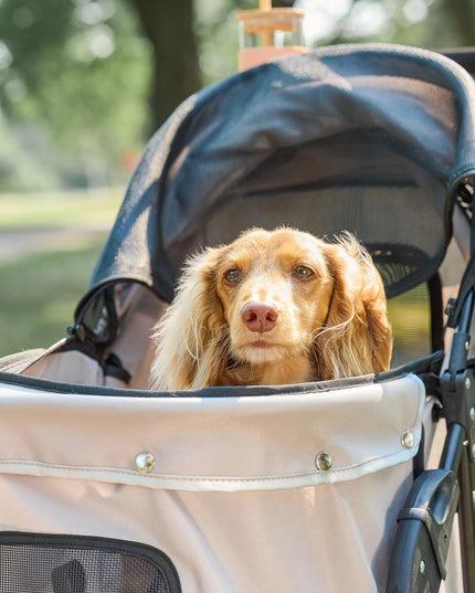 Carlson Pet Products Stroller, Includes 360 Degree Front Wheel Swivel, Rear Wheel Breaks, Reflective Trim, Mesh Panels, Umbrella and Mesh Canopy, Khaki