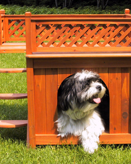Merry Pet MPS002 Wood Room with a View Pet House