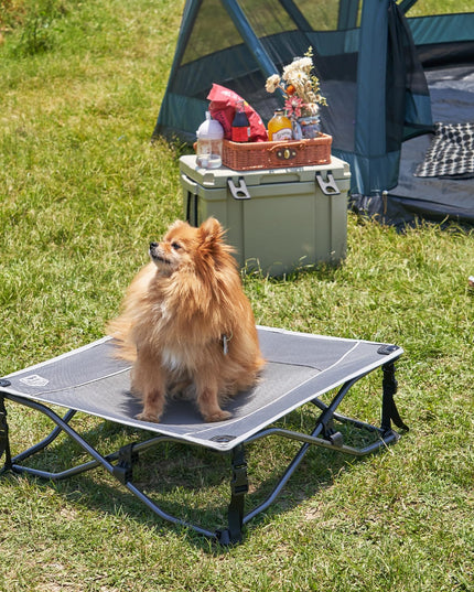 TIMBER RIDGE Outdoor Dog Bed, Cooling Elevated Dog Bed Portable Raised Pet Bed with Breathable Mesh, Foldable Dog Cot for Indoor & Outside, Grey