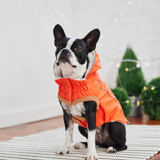 Sherpa-Lined Raincoat - Orange. Reflective Piping. Dog Coat.