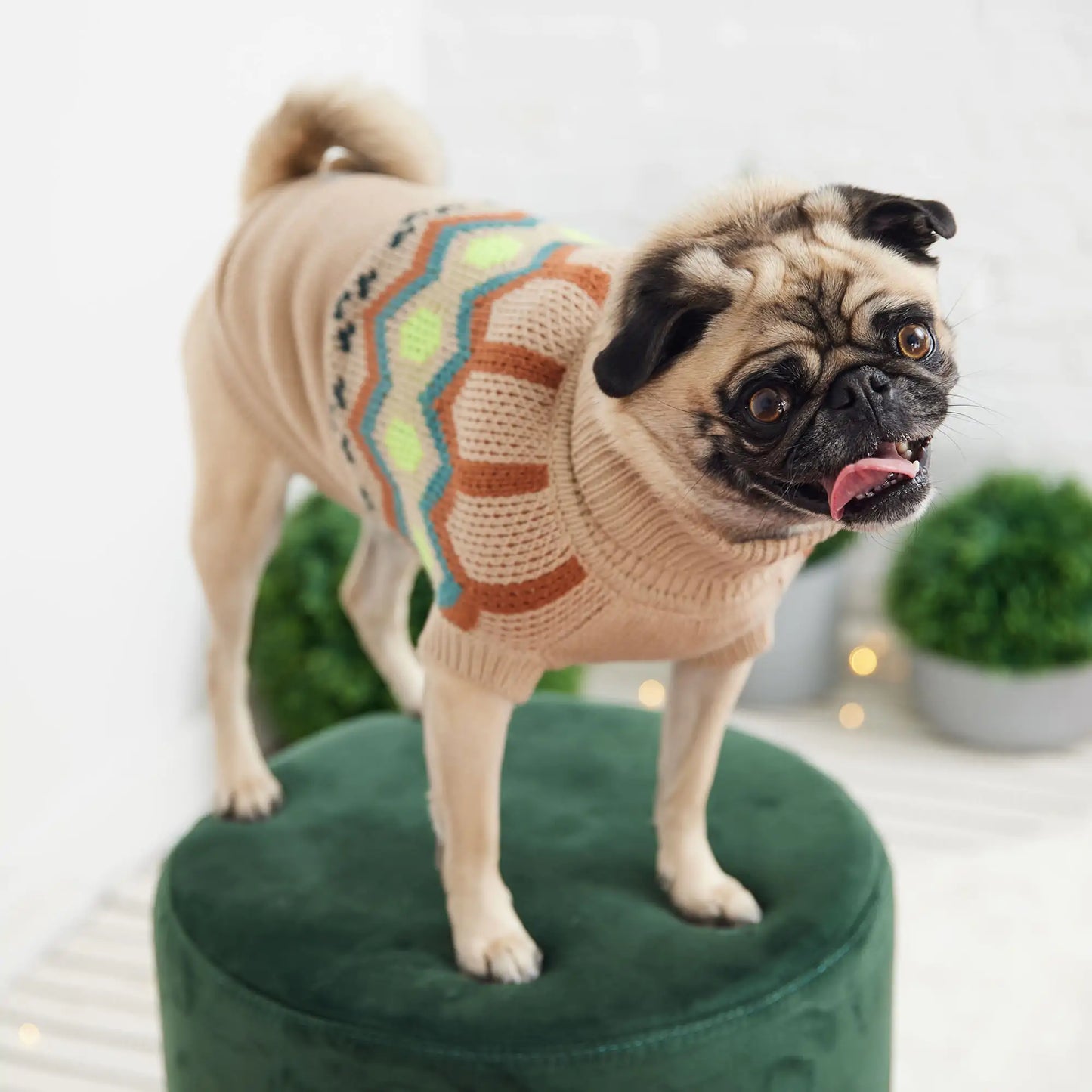 Heritage Dog Turtleneck Sweater - Sand