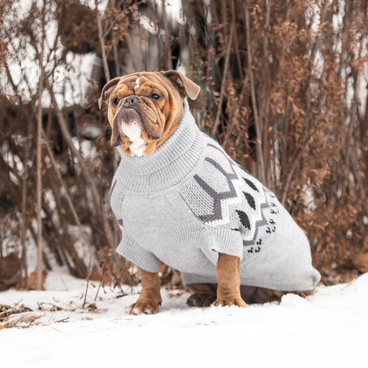 Sculpted Turtleneck Dog Sweater with Vintage Heritage Design - Grey Mix